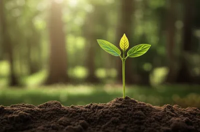 Illustration lowest - Image 1