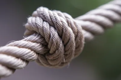 Illustration crowns - Image 1