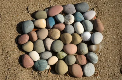 Illustration pl - Image 1