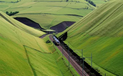 Illustration cuttings - Image 1