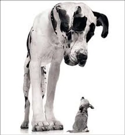 Illustration gargantuan - Image 2