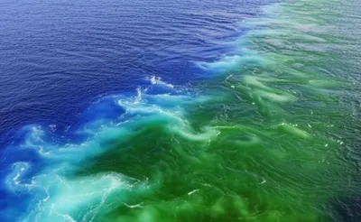 Illustration interlacing - Image 1