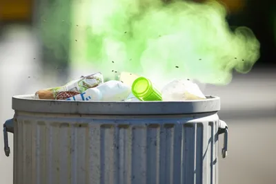 Illustration hums - Image 1