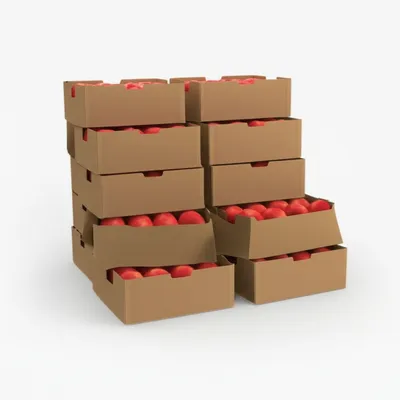 Illustration grosses - Image 1