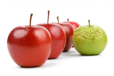 Illustration cull - Image 1