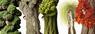 Illustration woods - Image 1