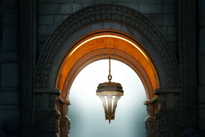 Illustration imports - Image 1