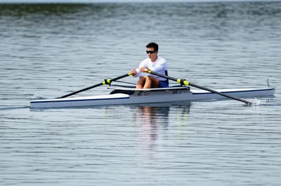 Illustration scullers - Image 1