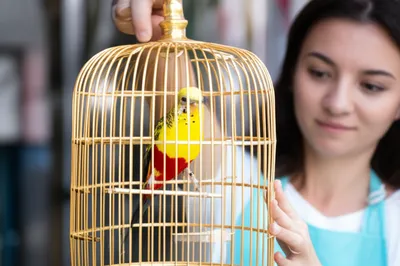 Illustration retaining - Image 1