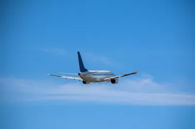 Illustration fins - Image 1