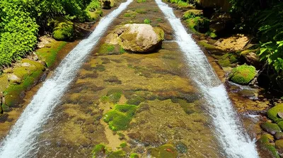 Illustration bifurcates