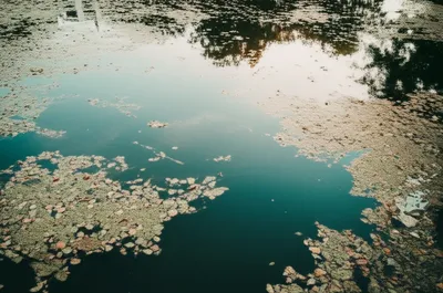 Illustration standing - Image 1