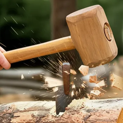 Illustration beetles - Image 1