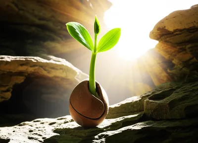 Illustration postdate - Image 1