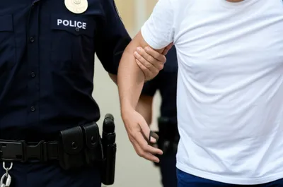 Illustration collar - Image 1