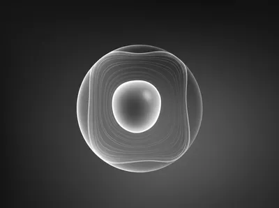 Illustration protoplast - Image 1