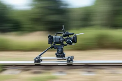 Illustration crabs - Image 1