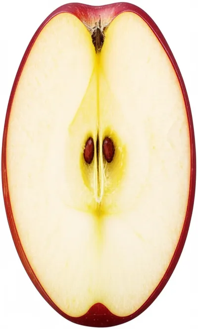 Illustration section - Image 1