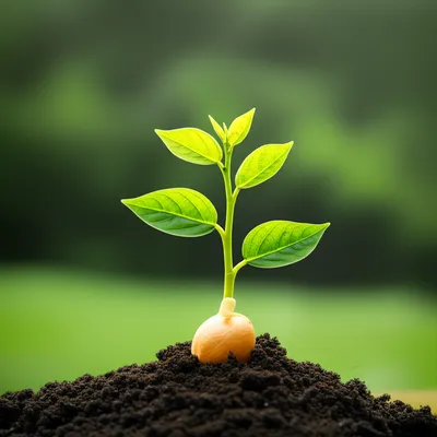 Illustration appreciation - Image 1