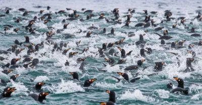 Illustration raft - Image 1