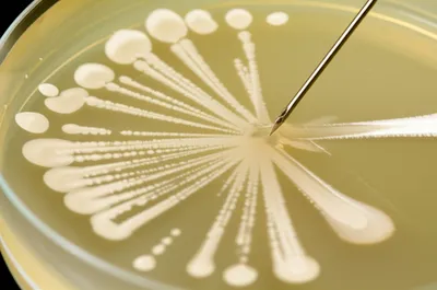 Illustration stabs - Image 1