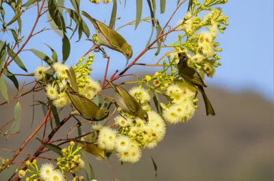 Illustration miner - Image 1