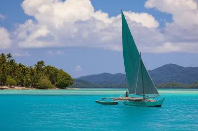 Illustration proas - Image 1