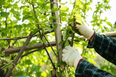 Illustration training - Image 1