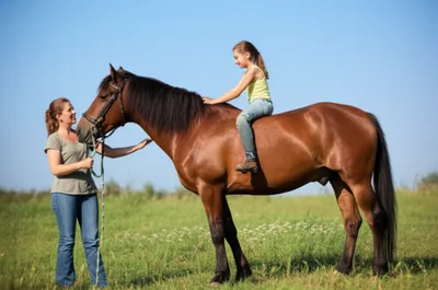 Illustration mounting - Image 1