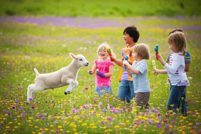 Hình ảnh minh họa springing - Ảnh 1