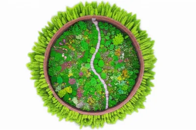 Illustration circumscription - Image 1