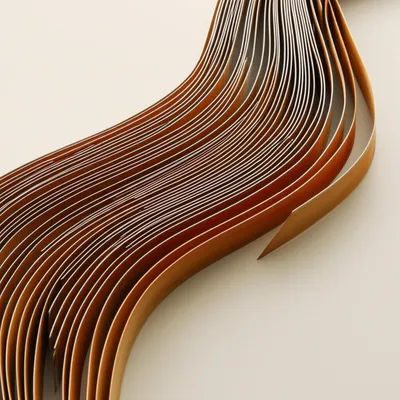 Illustration splines