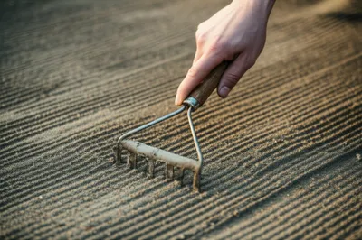 Illustration scarifying - Image 1