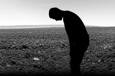 Illustration harrowing