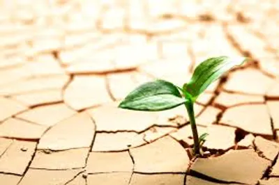 Illustration manage - Image 3