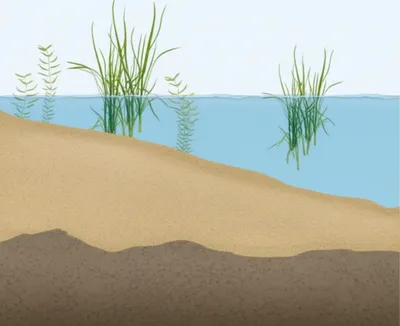 Illustration silt - Image 1