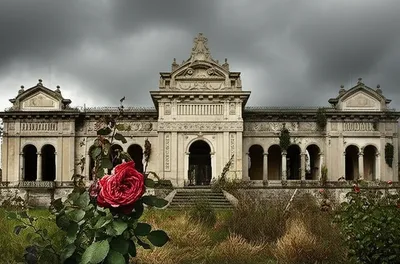 Illustration undo - Image 1