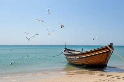 Illustration landings - Image 1