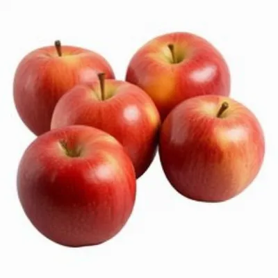 Illustration apply - Image 1