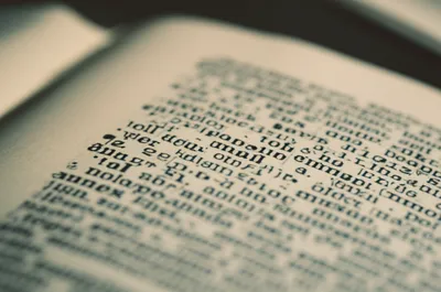 Illustration mackle - Image 1