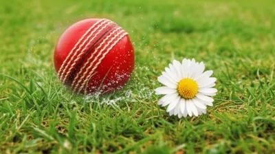 Illustration sneaks - Image 1