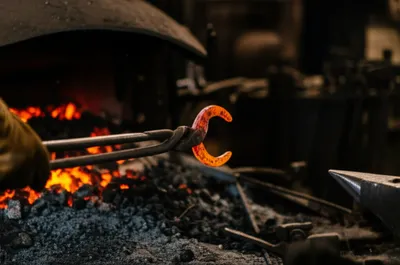 Illustration tongs - Image 1