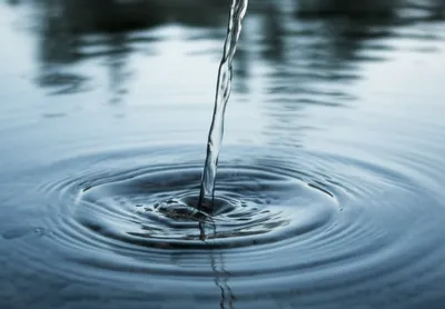 Illustration purest - Image 1