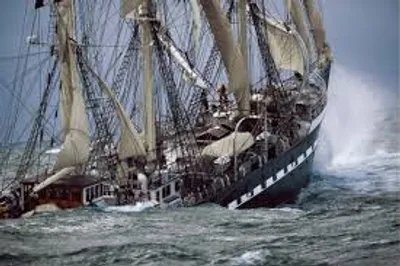 Illustration founder - Image 2