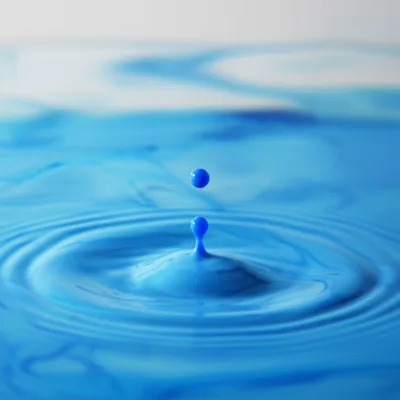 Illustration sipped - Image 1