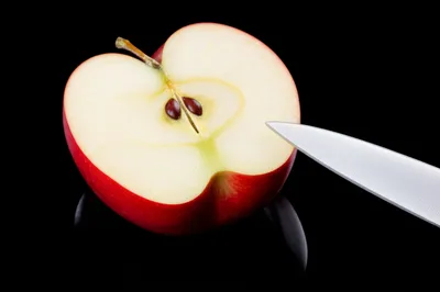 Illustration tries - Image 1