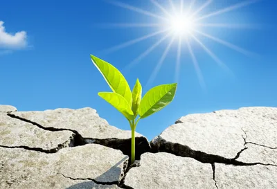 Illustration realizable