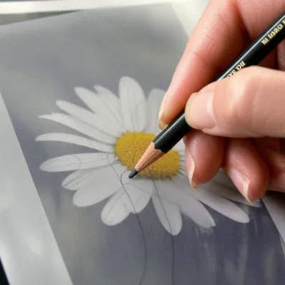 Illustration tracing - Image 1