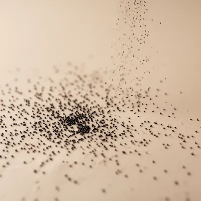 Illustration scatter - Image 1