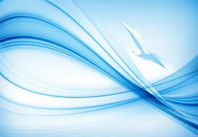 Illustration wing - Image 1